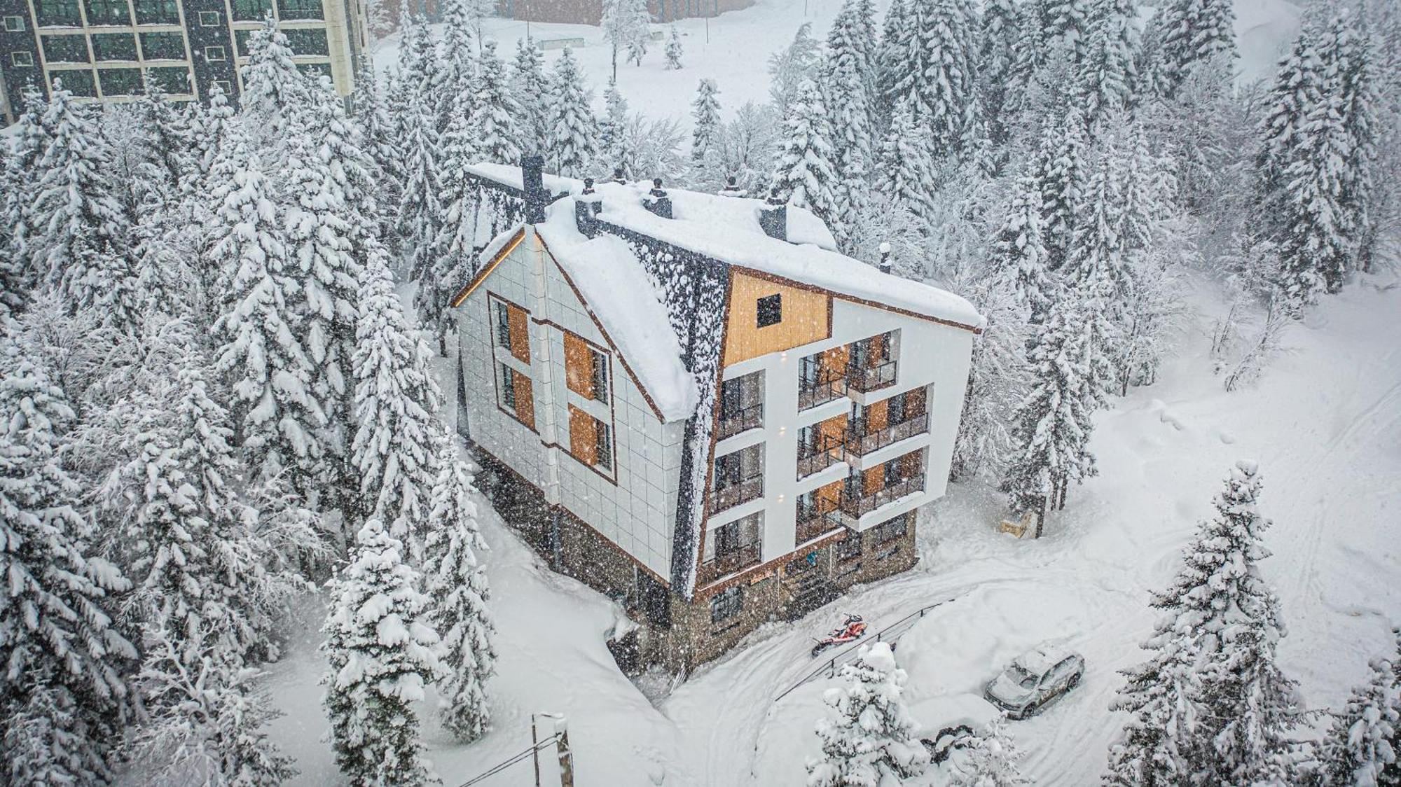 Forest Villa Goderdzi ภายนอก รูปภาพ