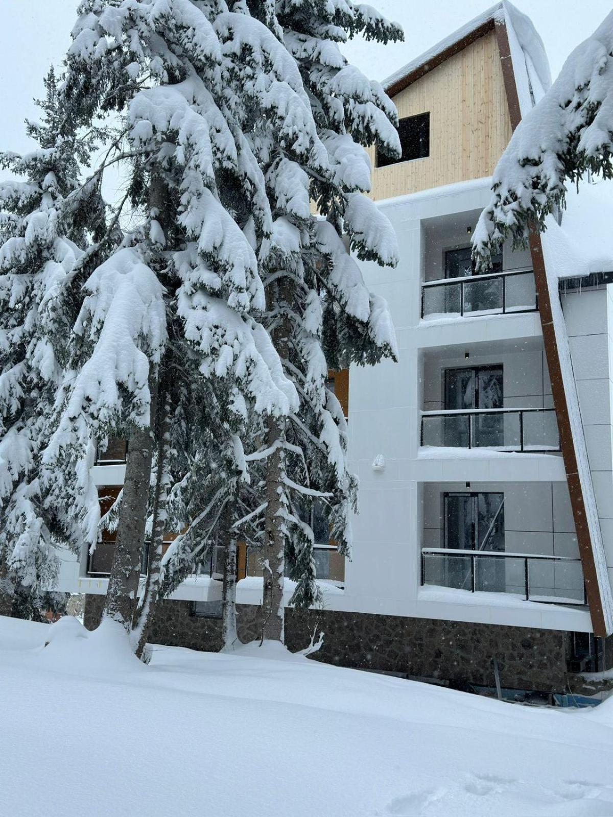 Forest Villa Goderdzi ภายนอก รูปภาพ