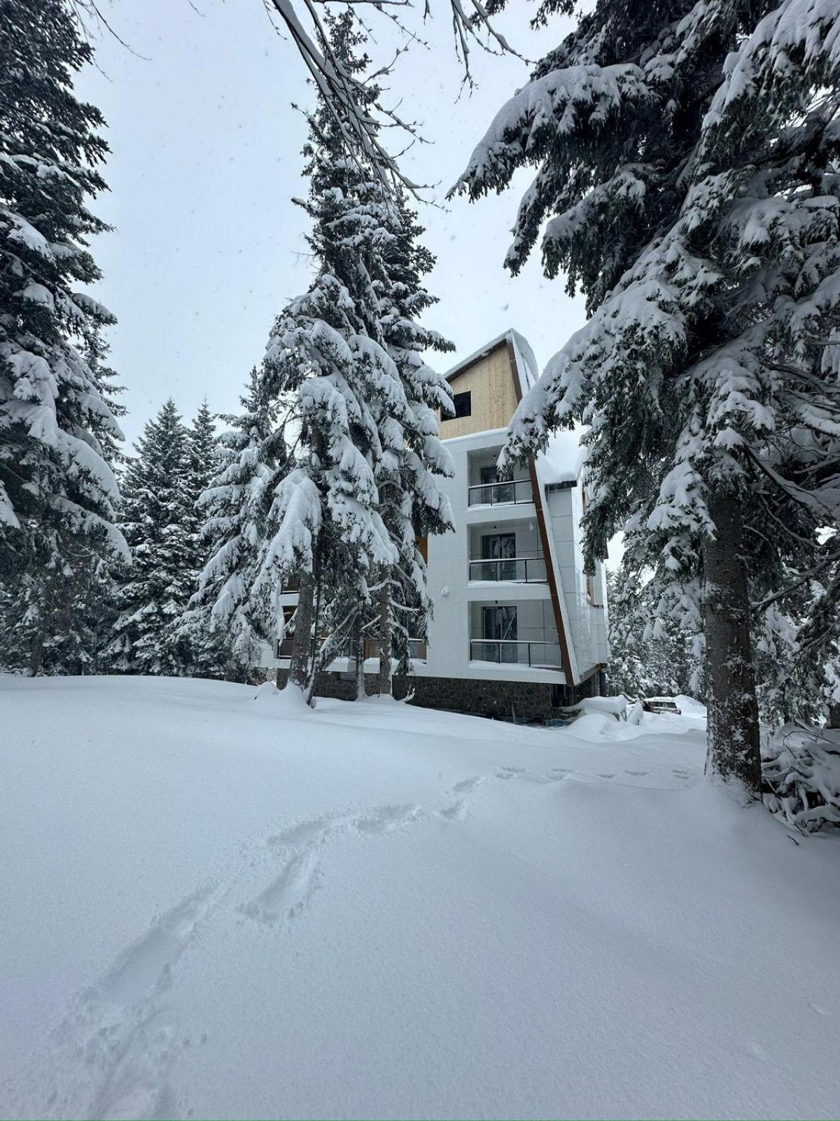 Forest Villa Goderdzi ภายนอก รูปภาพ
